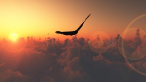 bird_flight_sky_clouds_sun_glare_nature_2560x1440_hd-wallpaper-77156